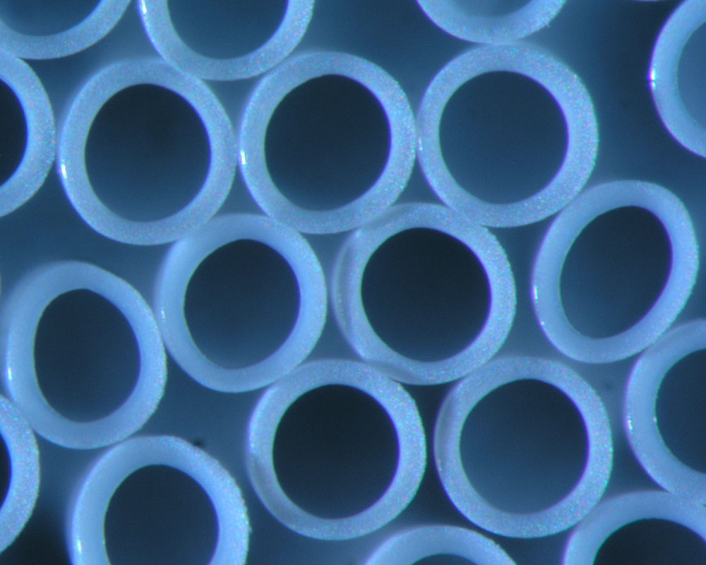 Rastermikroskopaufnahme