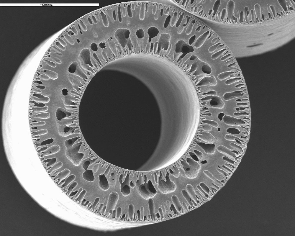 Rastermikroskopaufnahme